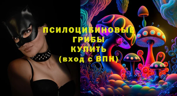 МДПВ Каменногорск