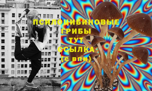 МДПВ Каменногорск