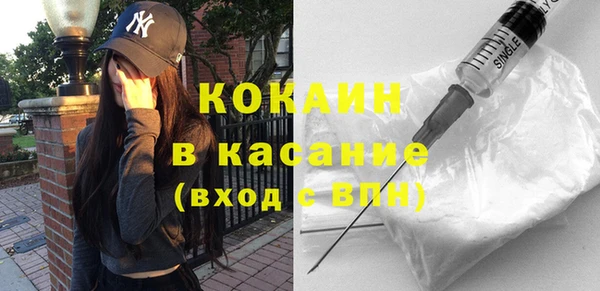 бошки Алексин