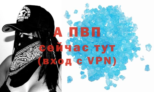 МДПВ Каменногорск
