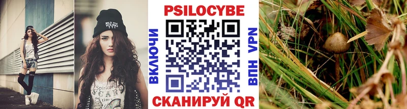 Галлюциногенные грибы GOLDEN TEACHER  Москва 